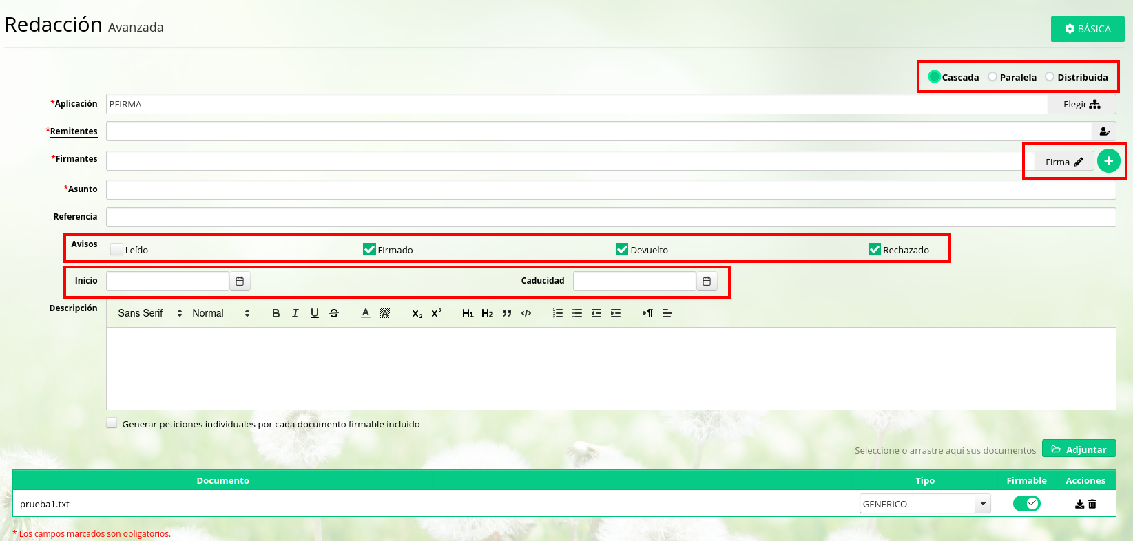 opciones_avanzadas_redaccion